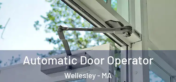 Automatic Door Operator Wellesley - MA