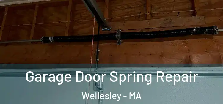  Garage Door Spring Repair Wellesley - MA