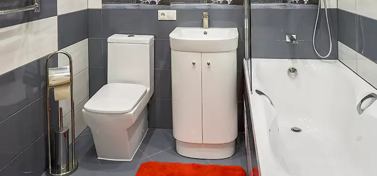 Hansgrohe Shaving Mirror Wellesley
