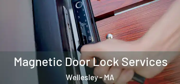 Magnetic Door Lock Services Wellesley - MA