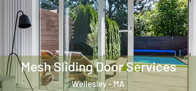 Mesh Sliding Door Services Wellesley - MA